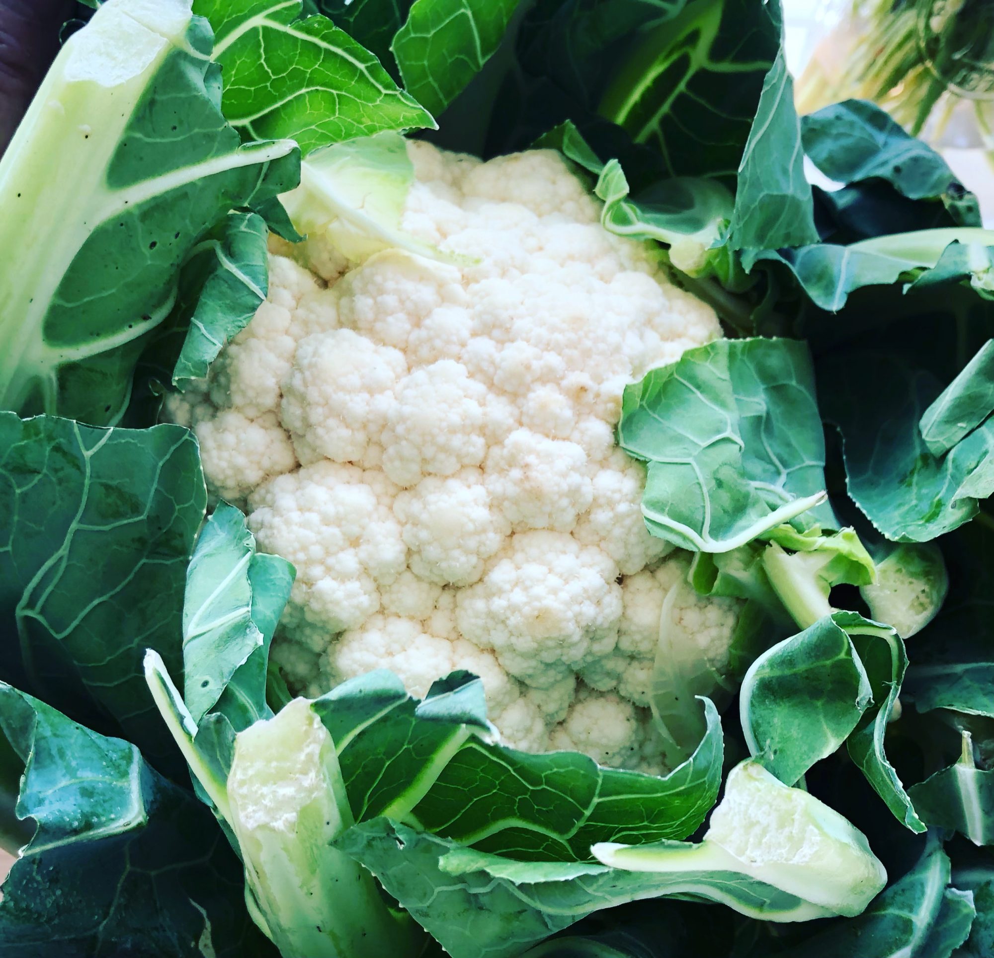 Basic Roasted Cauliflower