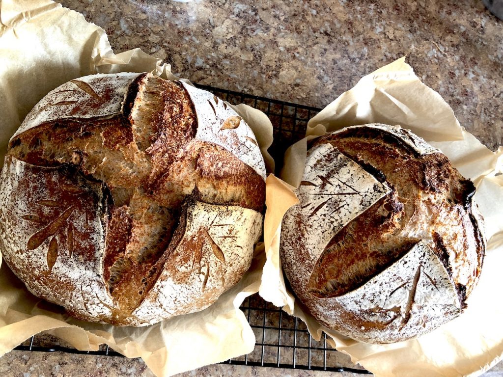 whole wheat Sourdough Bread