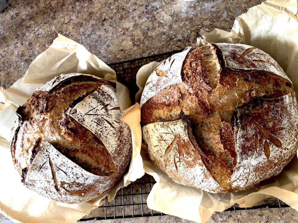 whole wheat sourdough breadd