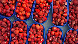 Wild strawberries
