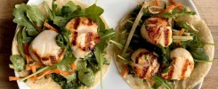 Grilled Scallop Tortillas